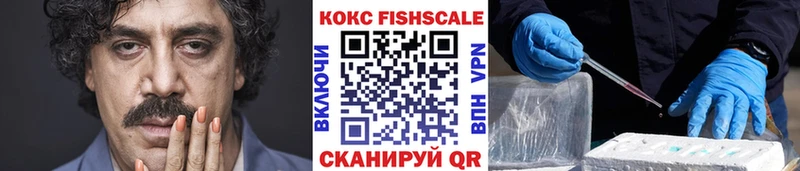 мега онион  Шацк  КОКАИН Fish Scale 