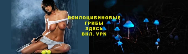 амфетамин Алексеевка