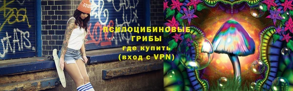 амфетамин Алексеевка